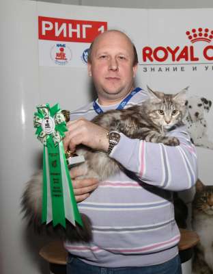 �������� ����� '������� ���-�����' 30 ������-1 ������� 2013., ������������ ��� 2493